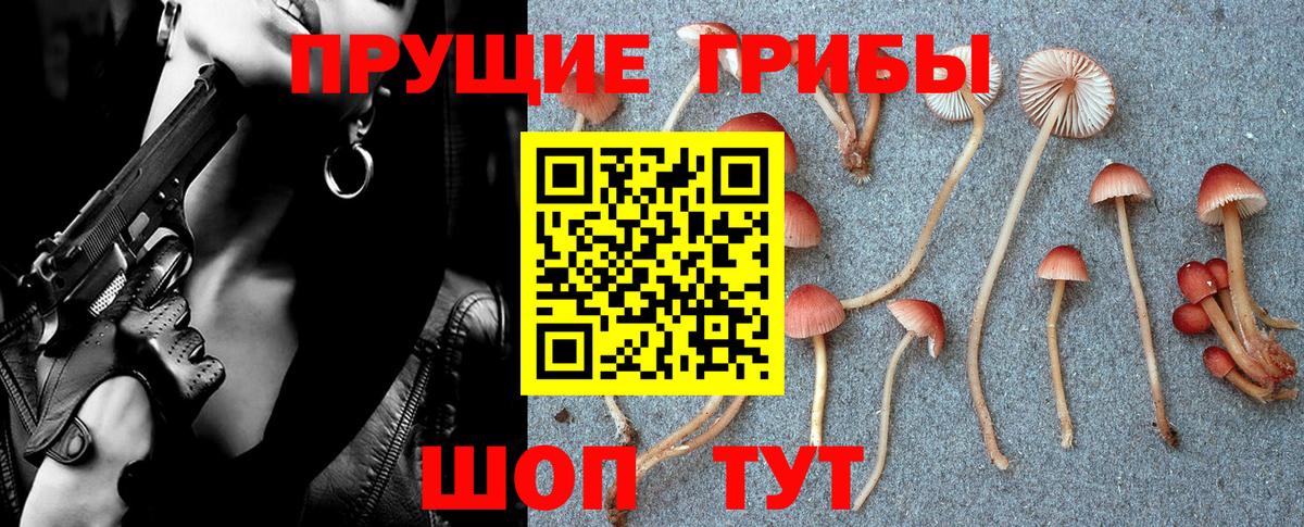 Галлюциногенные грибы GOLDEN TEACHER Сухой Лог