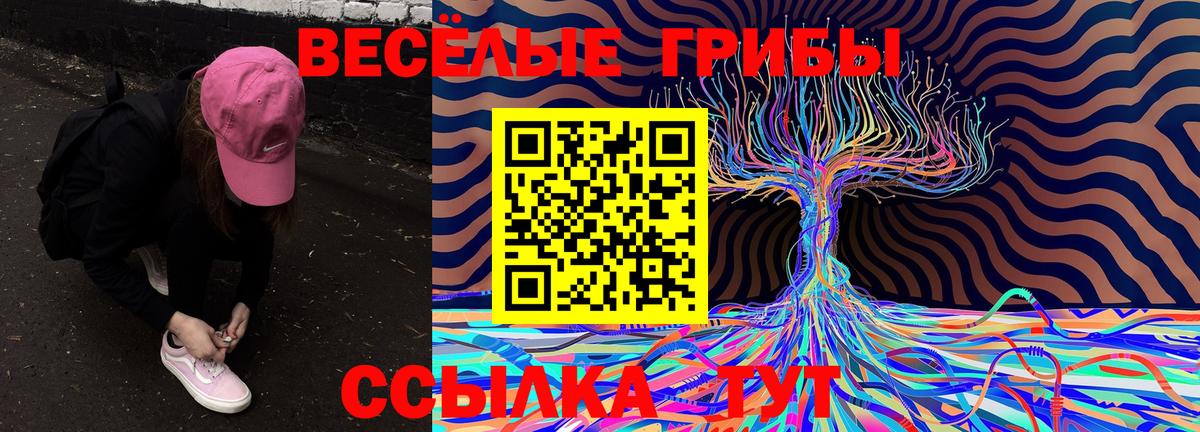 Сухой Лог  Галлюциногенные грибы Psilocybe  где купить   Вход с VPN 